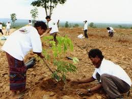 Trận điểm cao 166 Tăng Vai